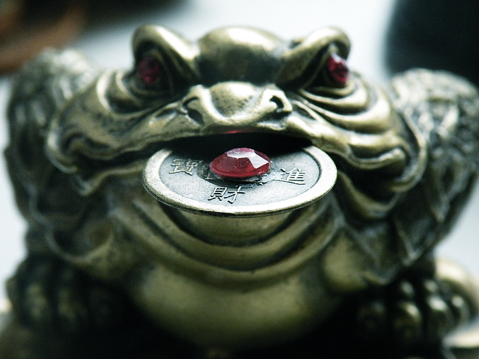 Feng_shui_froggie_by_aniver