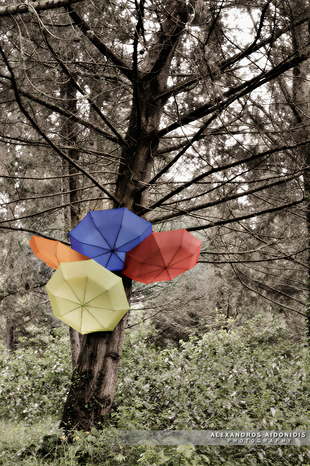 Umbrella_Tree_by_AlexAidonidis